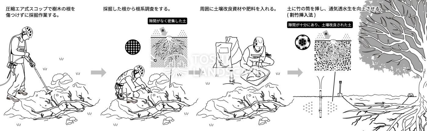 圧縮エア式スコップ イラスト 土壌改良 根系