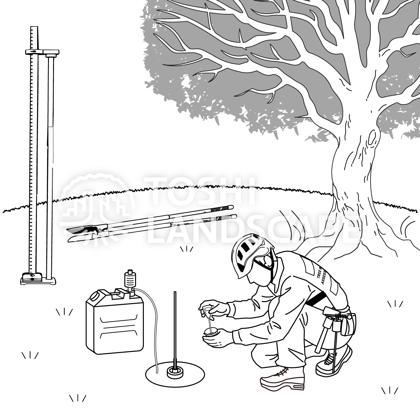 植栽基盤診断 イラスト 長谷川式 土壌調査 樹木医