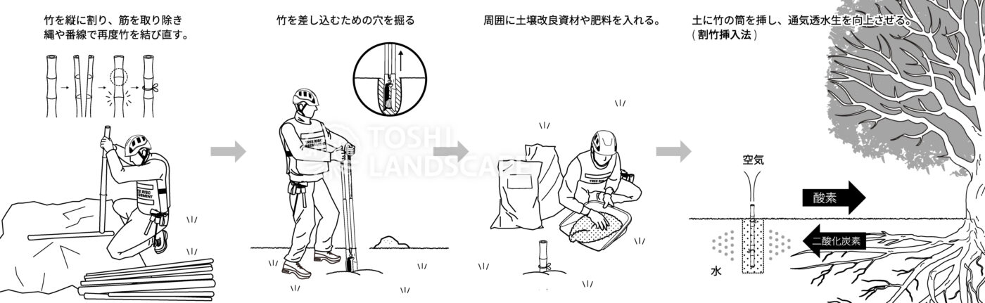 割竹挿入法 イラスト 土壌改良 樹勢回復