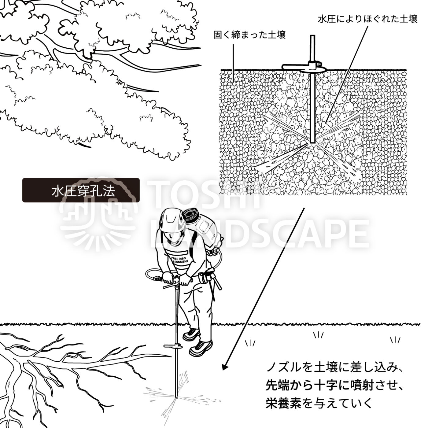 水圧穿孔法 イラスト 土壌改良 樹勢回復