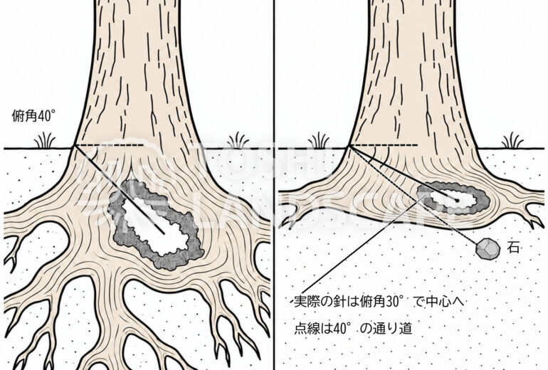 根株診断 俯角40度 俯角30度 根株 浅い 石 土 針の通り道