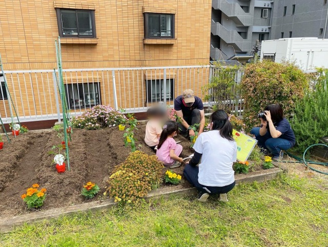 野菜 植え付け 幼稚園 屋上菜園