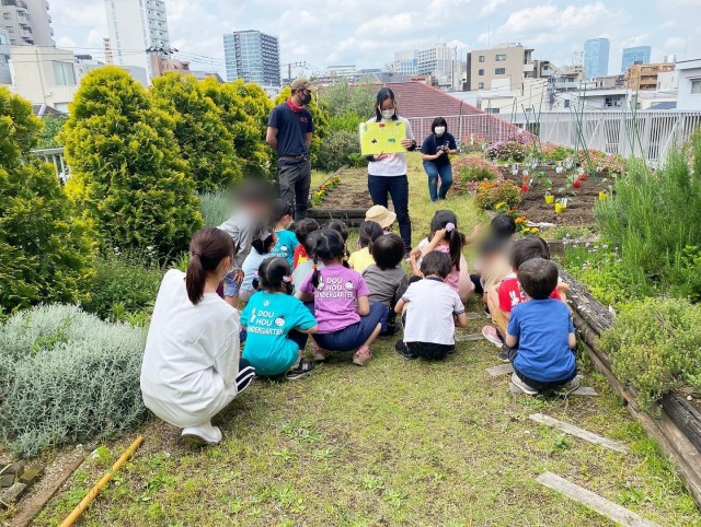 幼稚園 屋上菜園