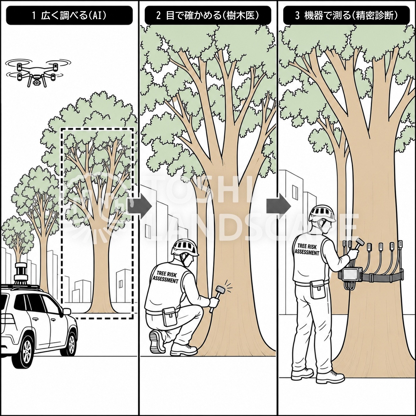 AI スクリーニング 外観診断 打診 精密診断 ピカス 音波トモグラフィ 3段階 樹木医 イラスト