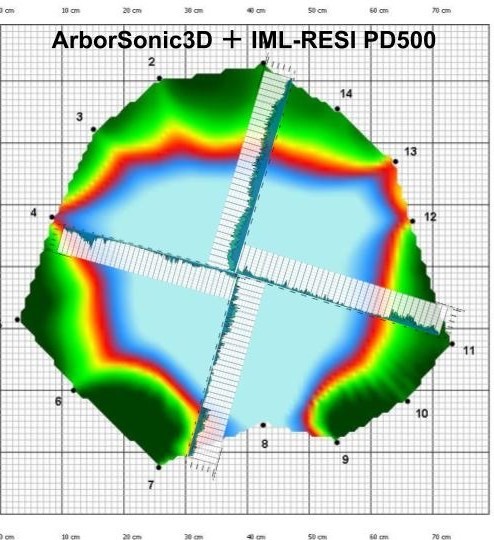 アーボソニック3D 断面画像 レジ 波形 重ね 樹木診断