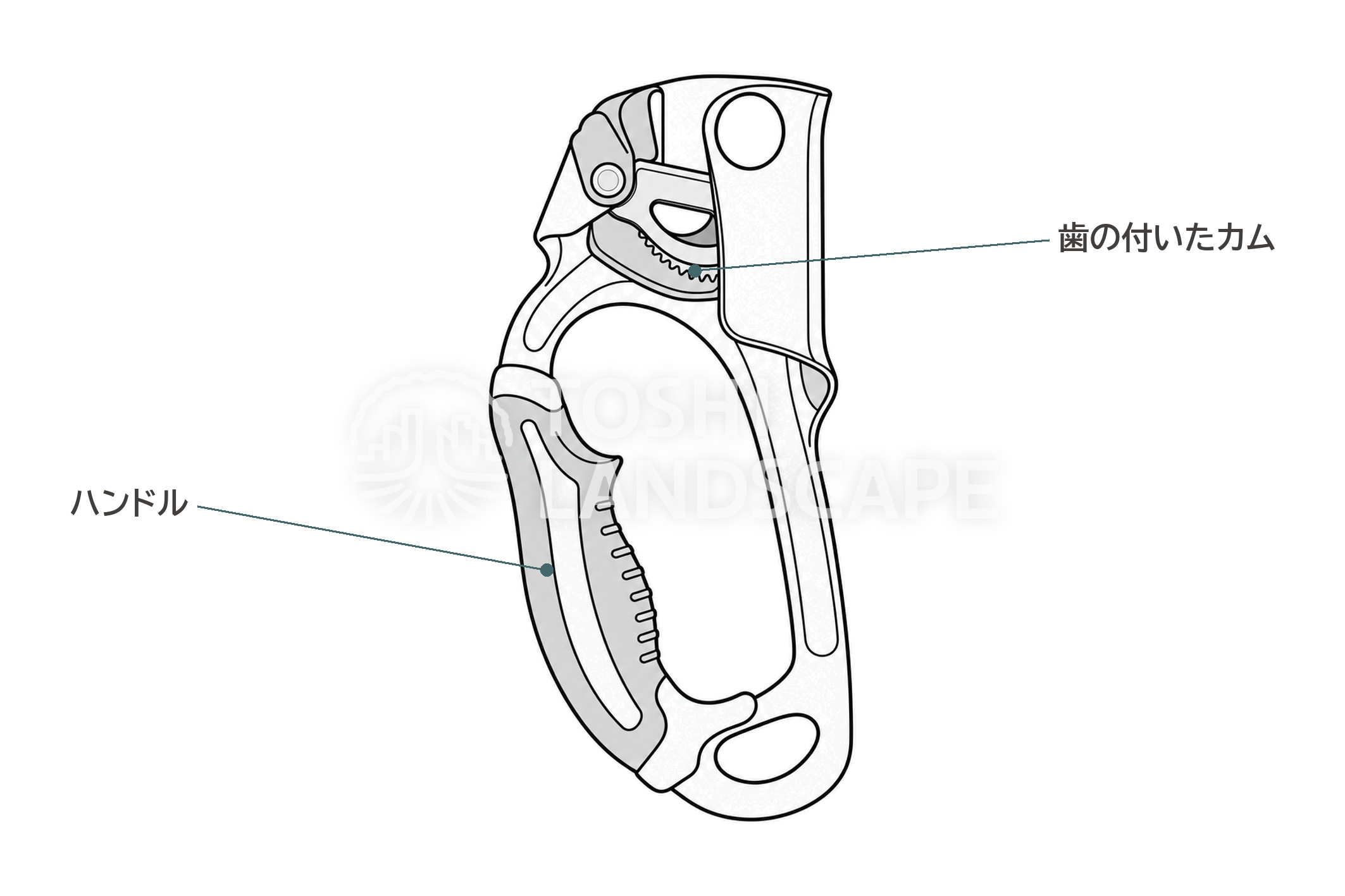 アッセンダー ハンドル 歯の付いたカム 登る器具 各部の名前 イラスト