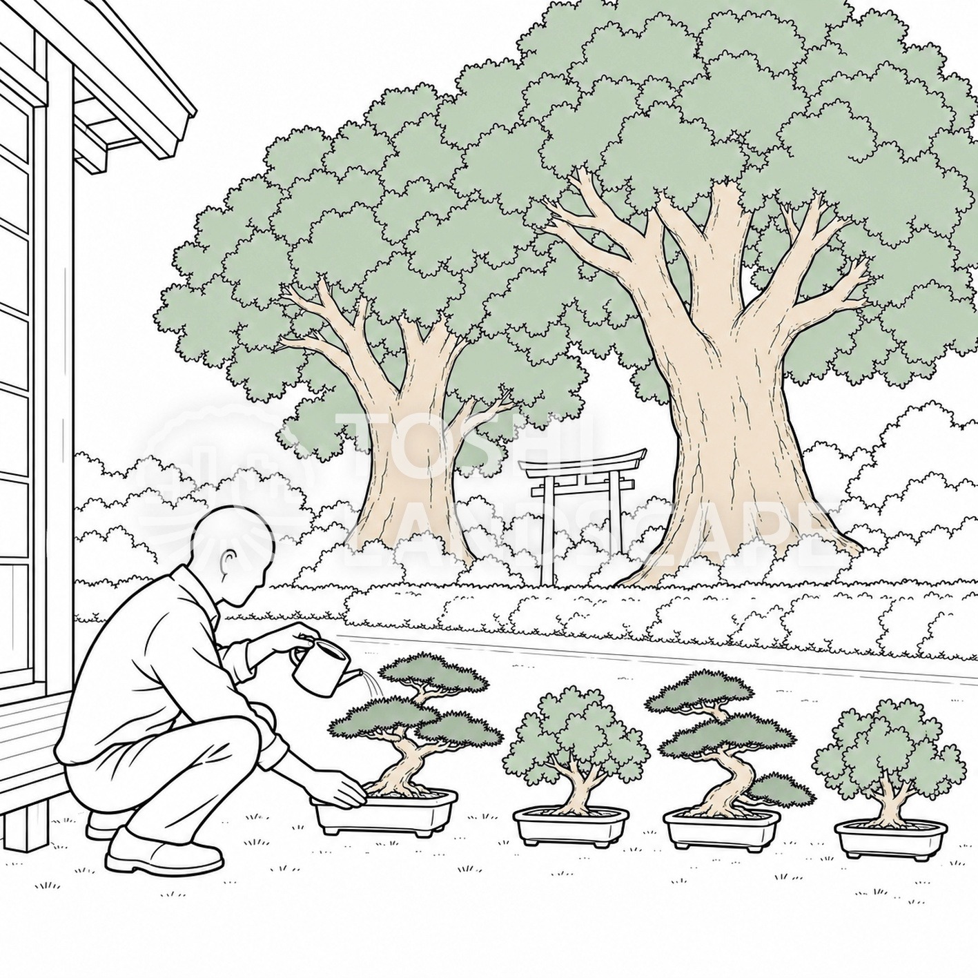 盆栽 縁側 水やり 境内 大木 鳥居 時間 イラスト