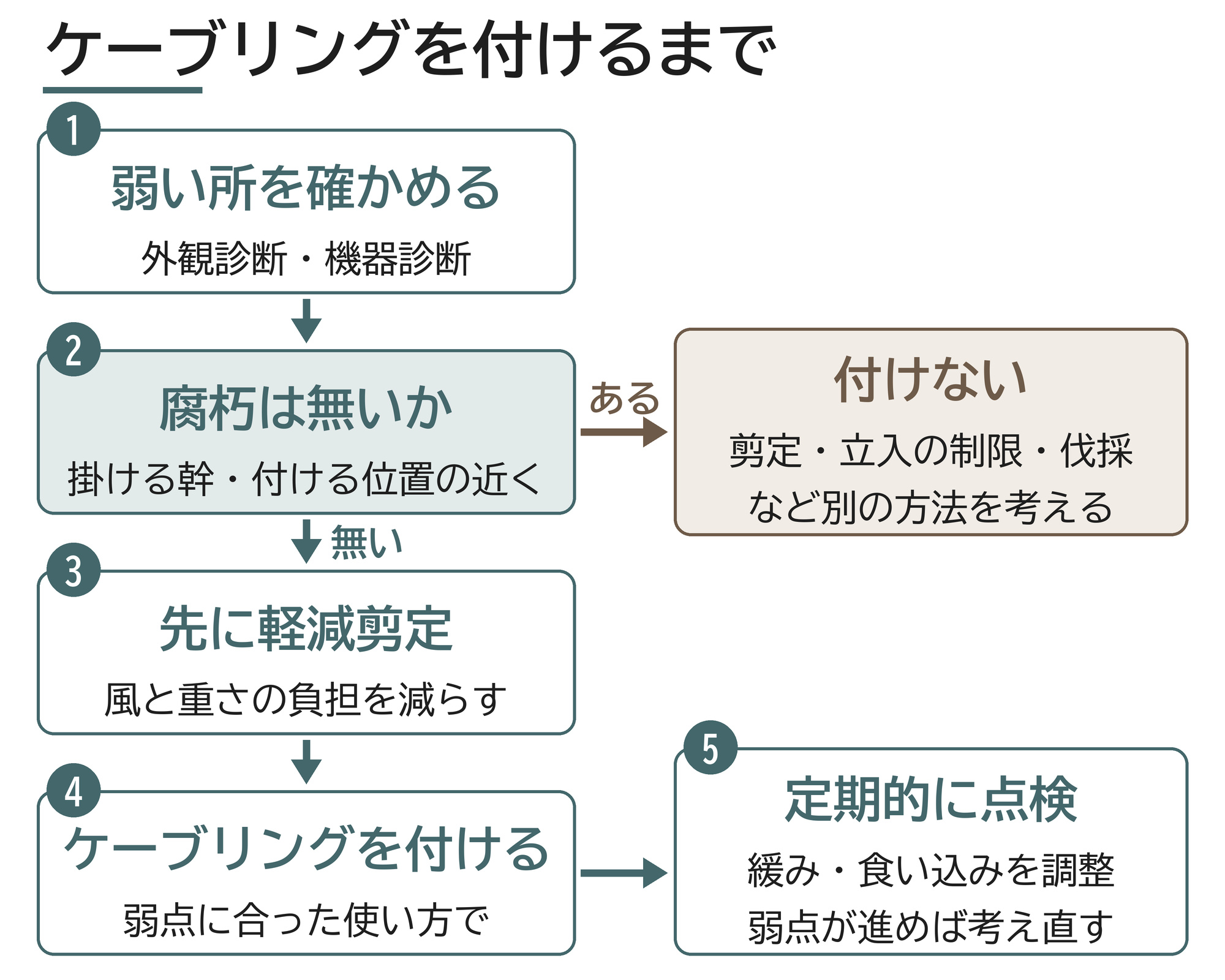 ケーブリング 判断 流れ 腐朽 軽減剪定 点検 図解