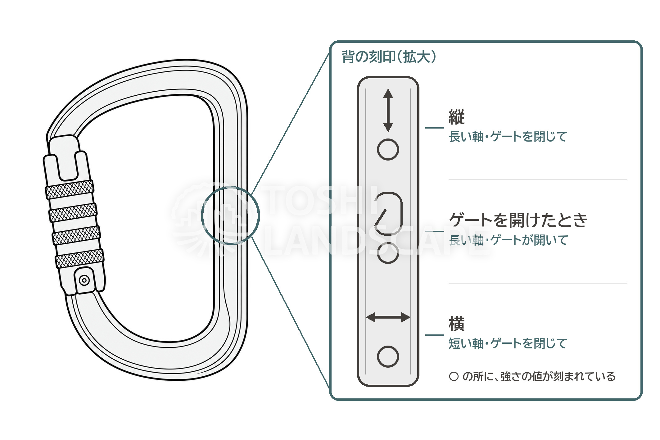 カラビナ 刻印 強さの表示 縦 横 ゲートを開けたとき 長い軸 短い軸 イラスト