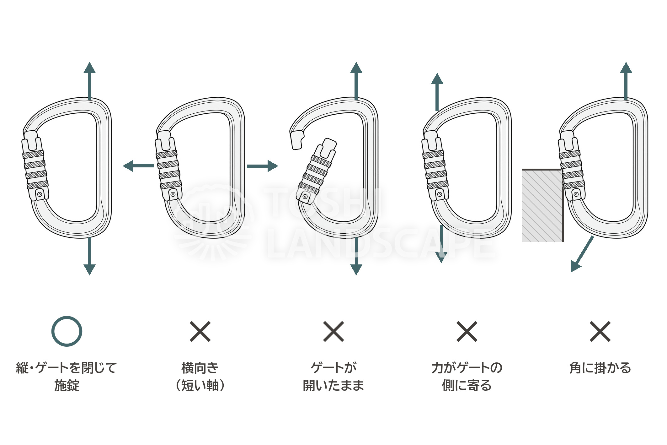 カラビナ 力の向き 横向きの力 ゲート 施錠 角 危ない力のかかり方 イラスト
