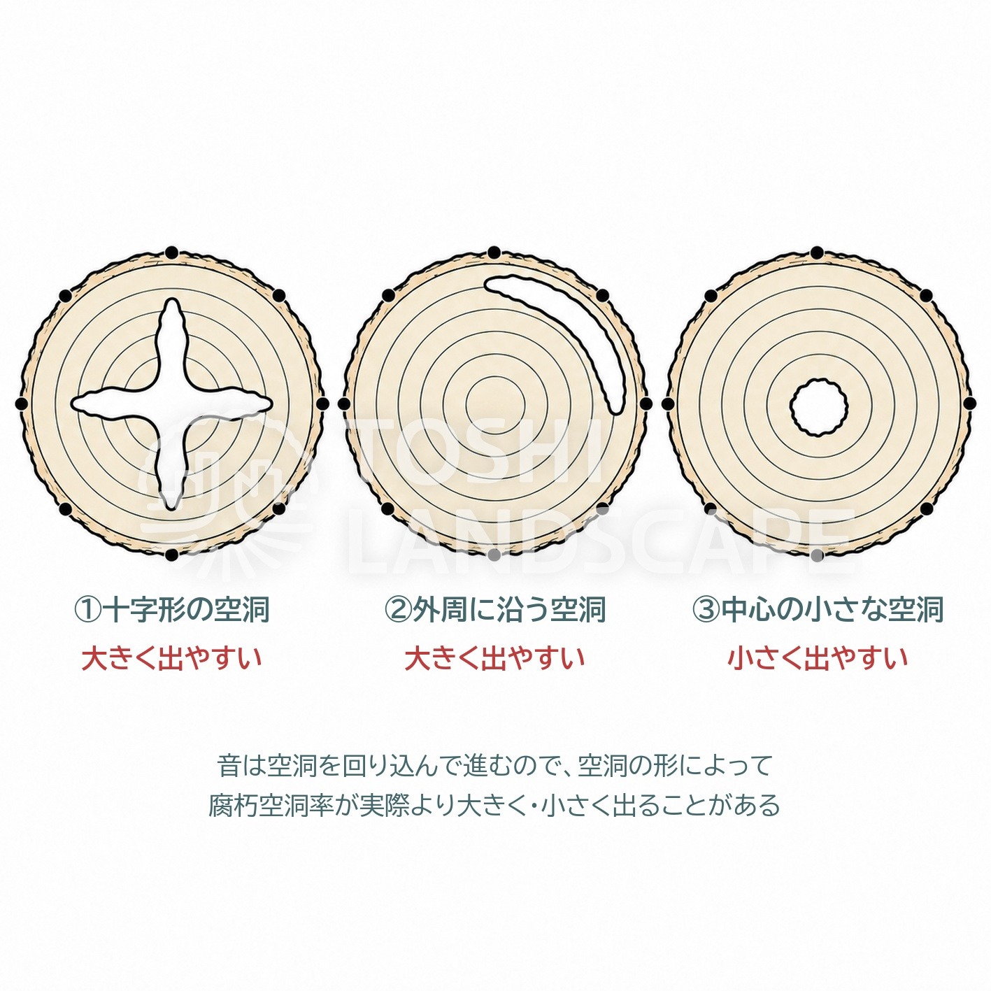アーボソニック 腐朽空洞率 過大評価 過小評価 空洞の形 十字形 外周 小さな空洞