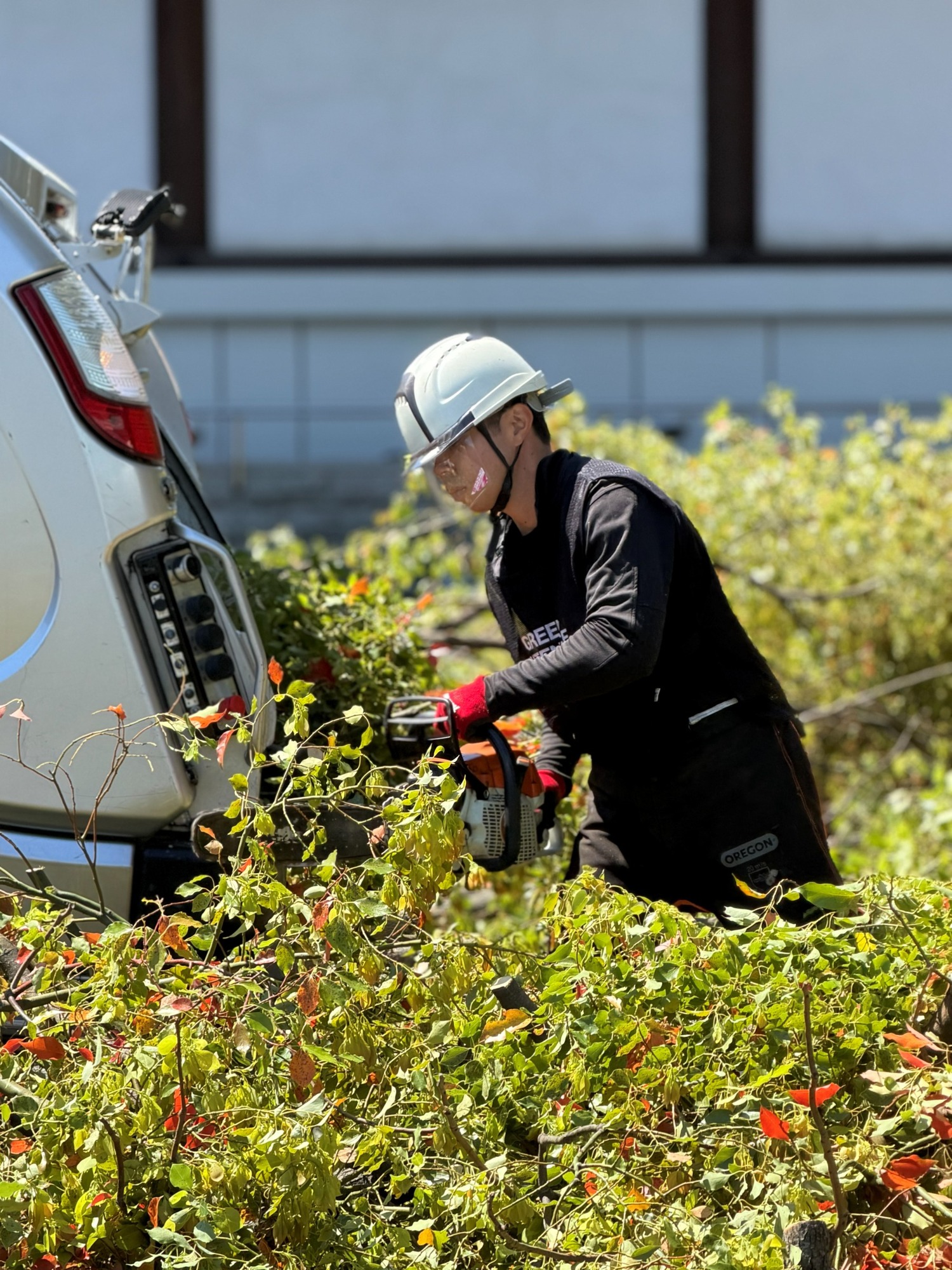 剪定枝 チェーンソー 切り分け パッカー車 積み込み前