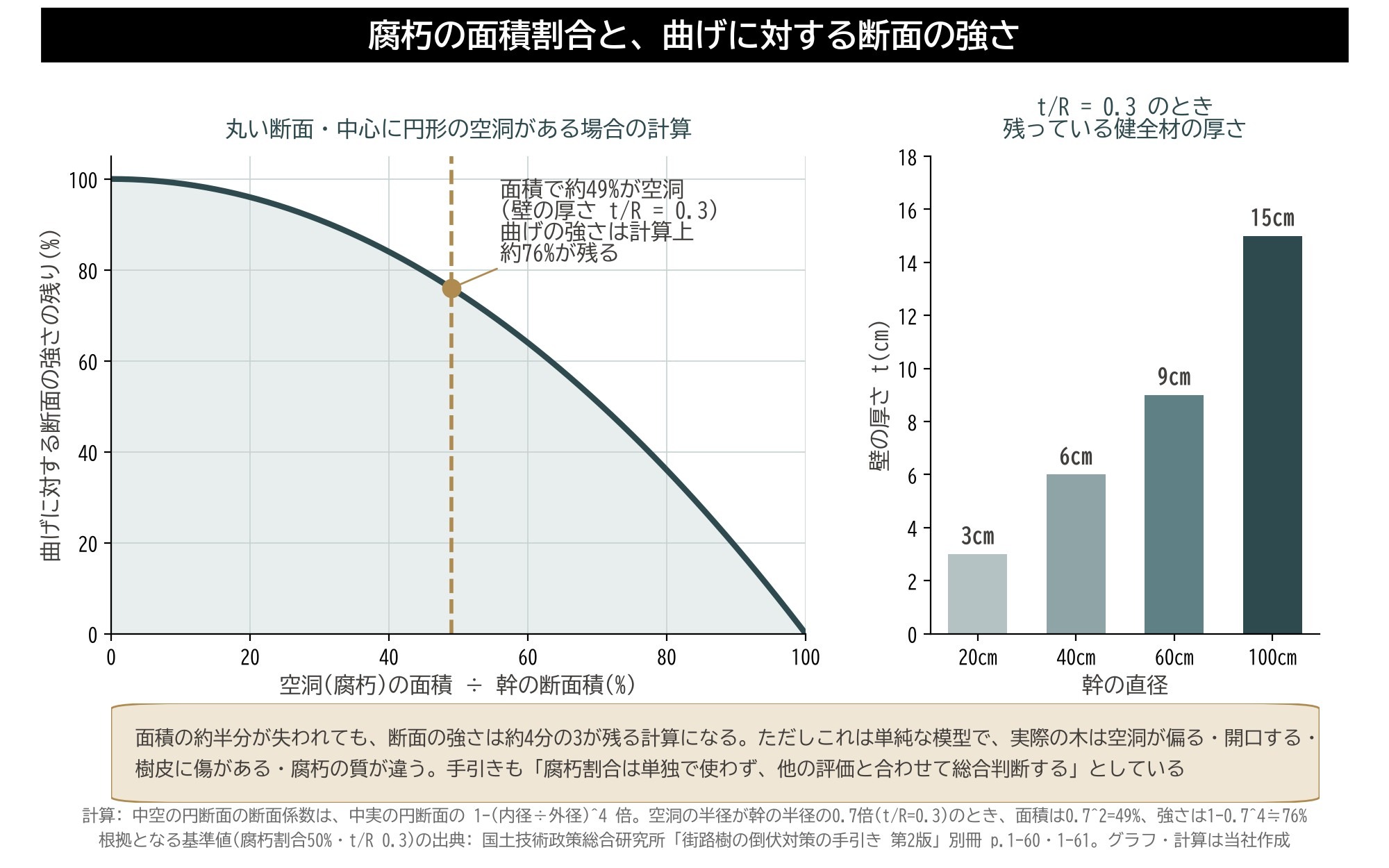 腐朽率 t/R 空洞 断面 強さ 計算 樹木診断 樹木医