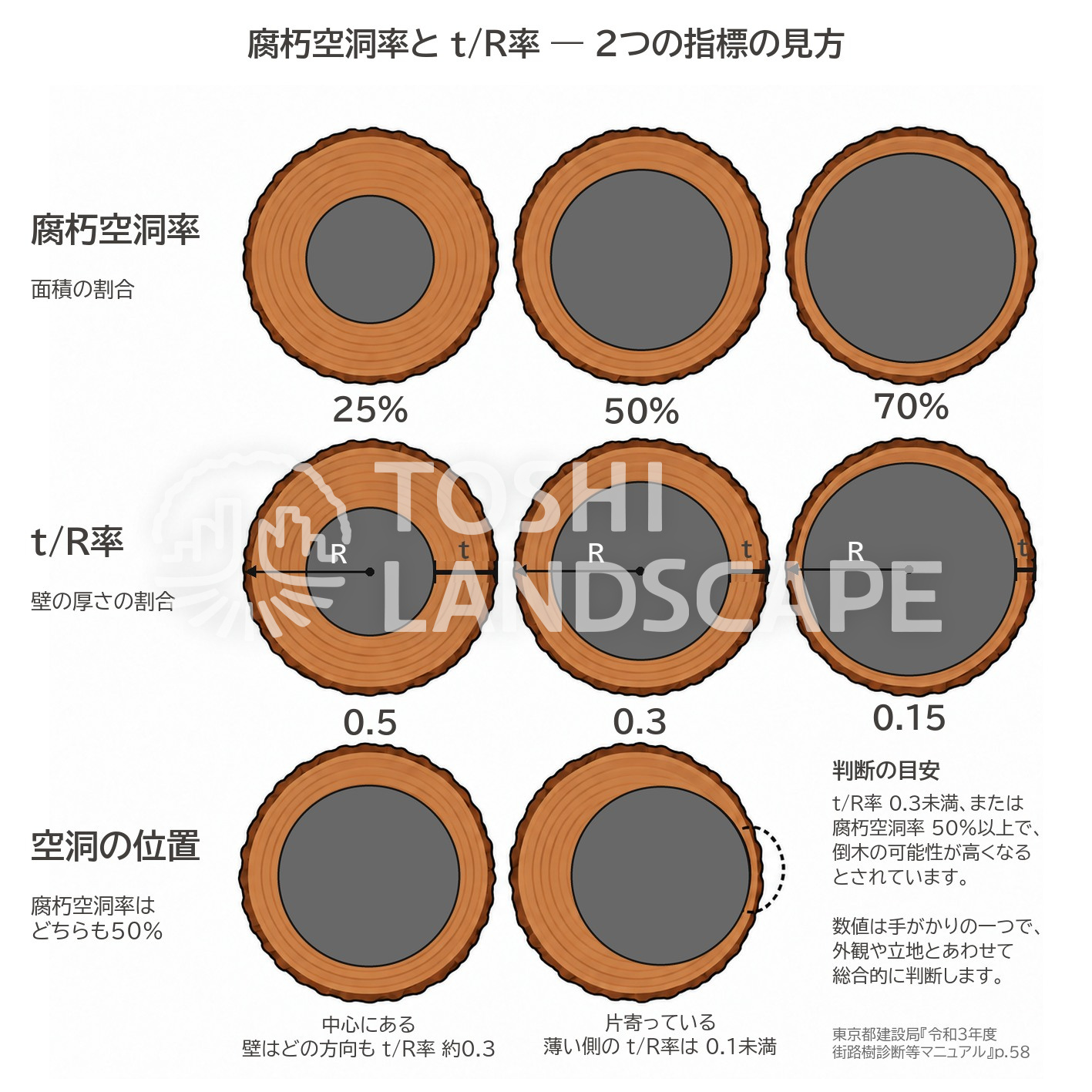 腐朽空洞率 t/R率 健全材の厚さ 断面 計算 機器診断