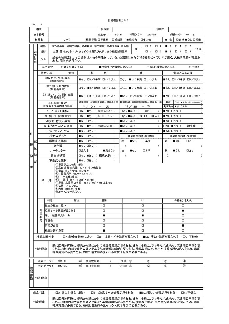 外観診断カルテ
