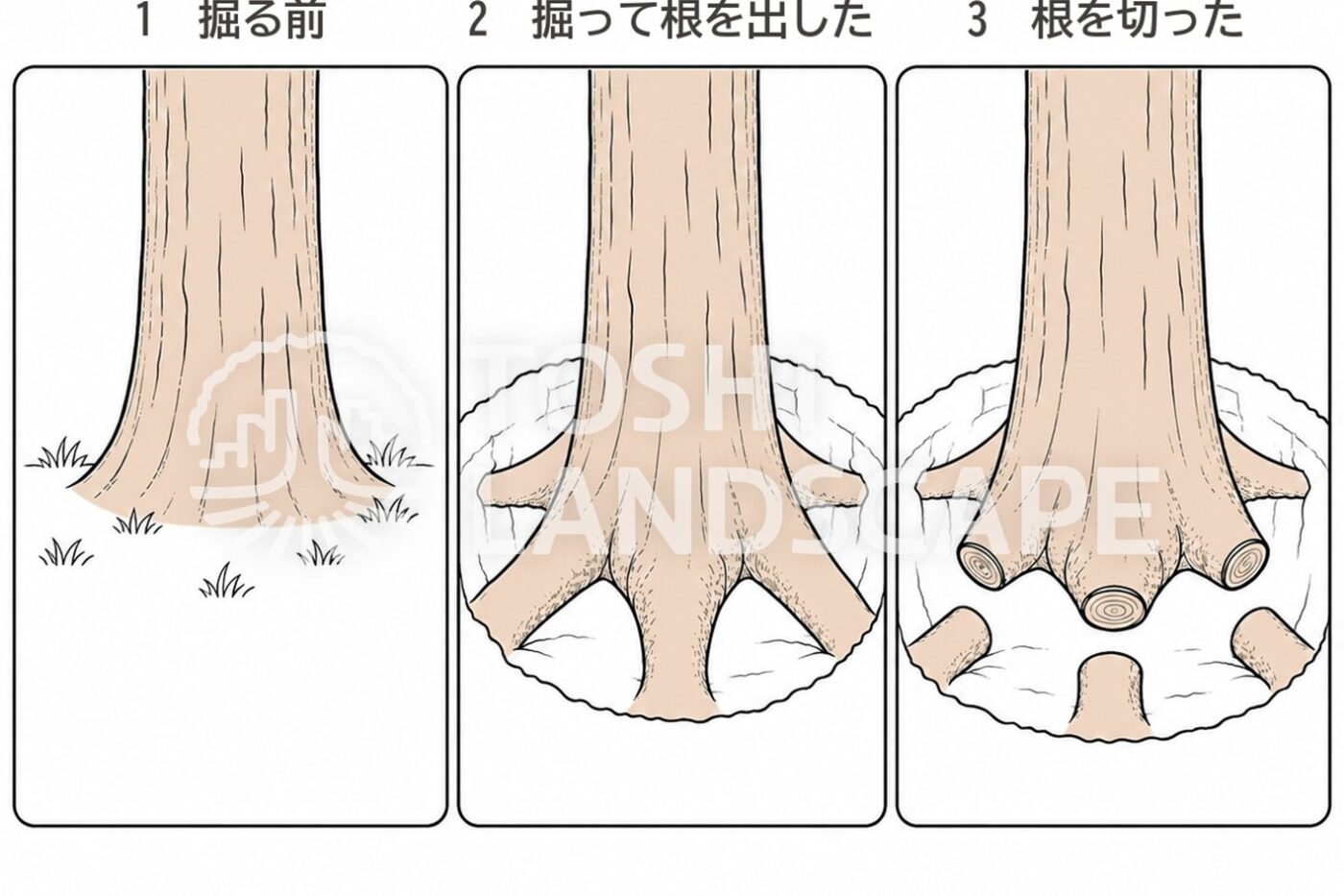 ダイナルート DynaRoot 風 根元の傾き 傾斜計 風速計 根返り 安全率 樹木医