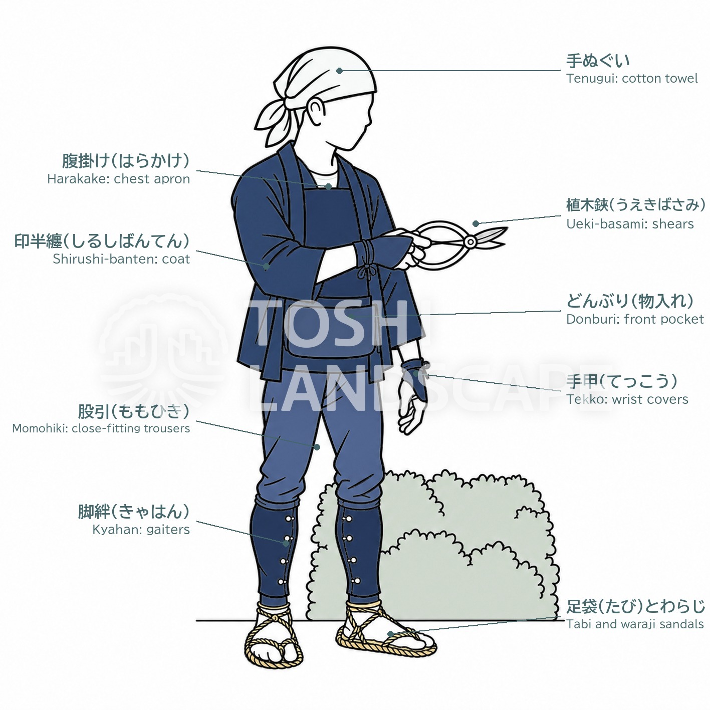 江戸時代 植木職人 服装 印半纏 腹掛け 股引 手甲 脚絆 足袋 わらじ