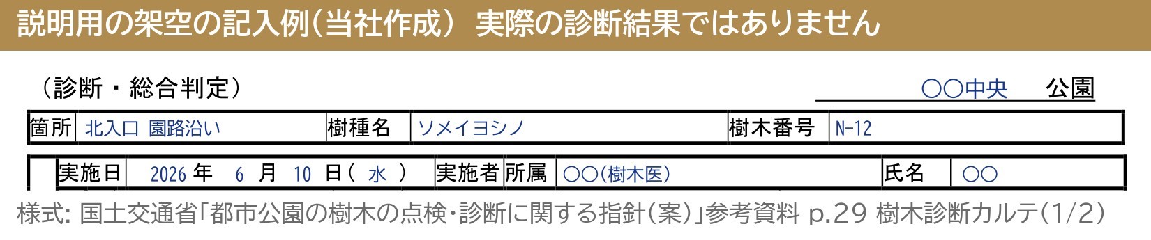 樹木診断カルテ 箇所 樹種名 樹木番号 実施日 実施者 記入例