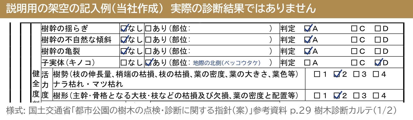 樹木診断カルテ 樹幹の揺らぎ 不自然な傾斜 亀裂 子実体 キノコ 活力度 記入例