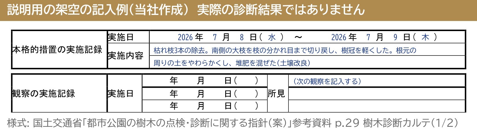 樹木診断カルテ 本格的措置の実施記録 観察の実施記録 実施日 実施内容 所見 記入例