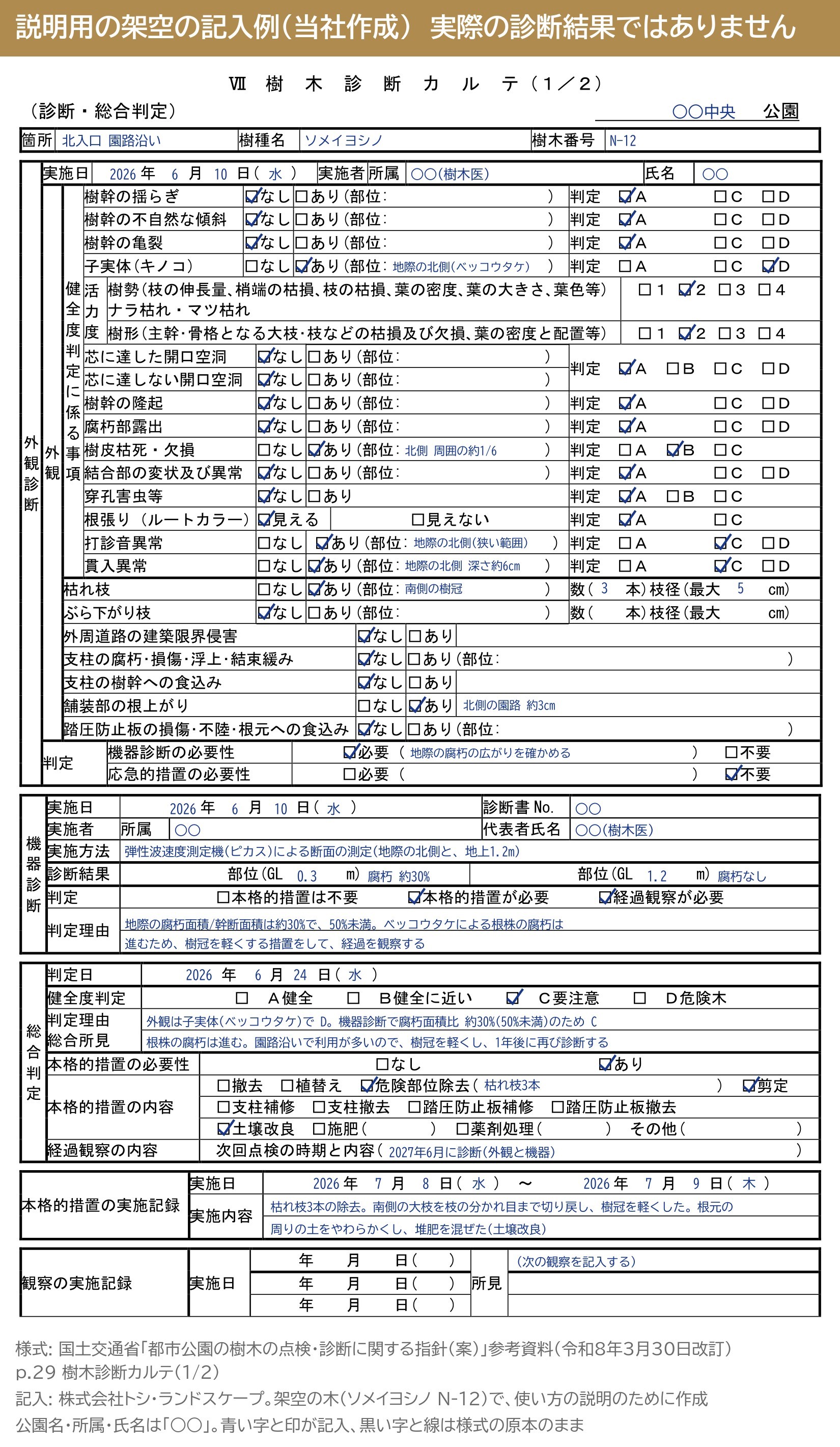樹木診断カルテ 1/2 説明用の架空の記入例 ソメイヨシノ ベッコウタケ 判定 D 機器診断 総合判定 C 要注意