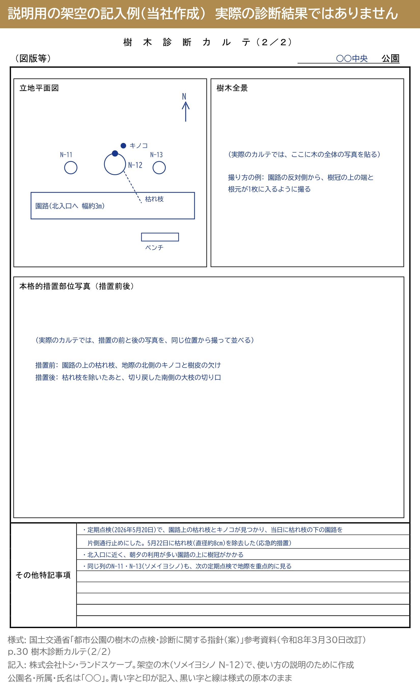 樹木診断カルテ 2/2 説明用の架空の記入例 立地平面図 園路 ベンチ 写真の撮り方 その他特記事項