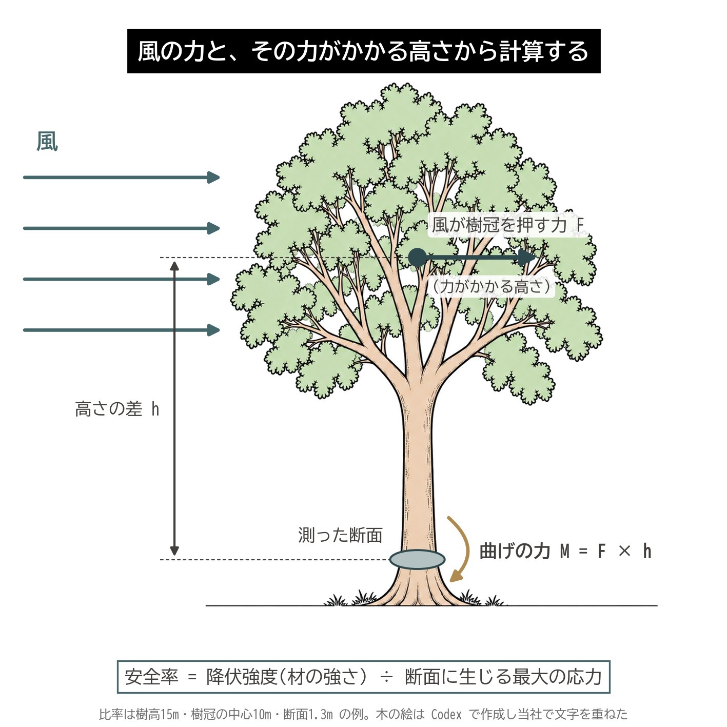アーボソニック3D バイオメカニクス 安全率 風の力 樹冠 作用点の高さ 測った断面 曲げモーメント 降伏強度 最大応力 図解