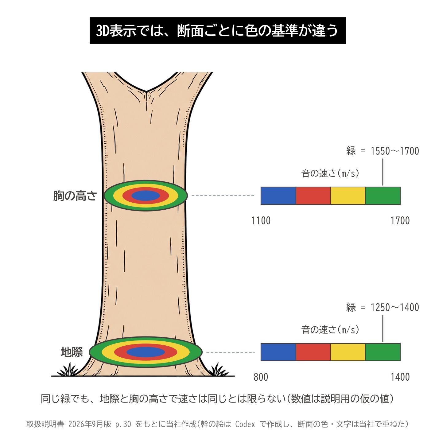 アーボソニック3D 多層表示 3D 断面ごとの速さの範囲 同じ色 違う速さ 地際 胸高 模式図