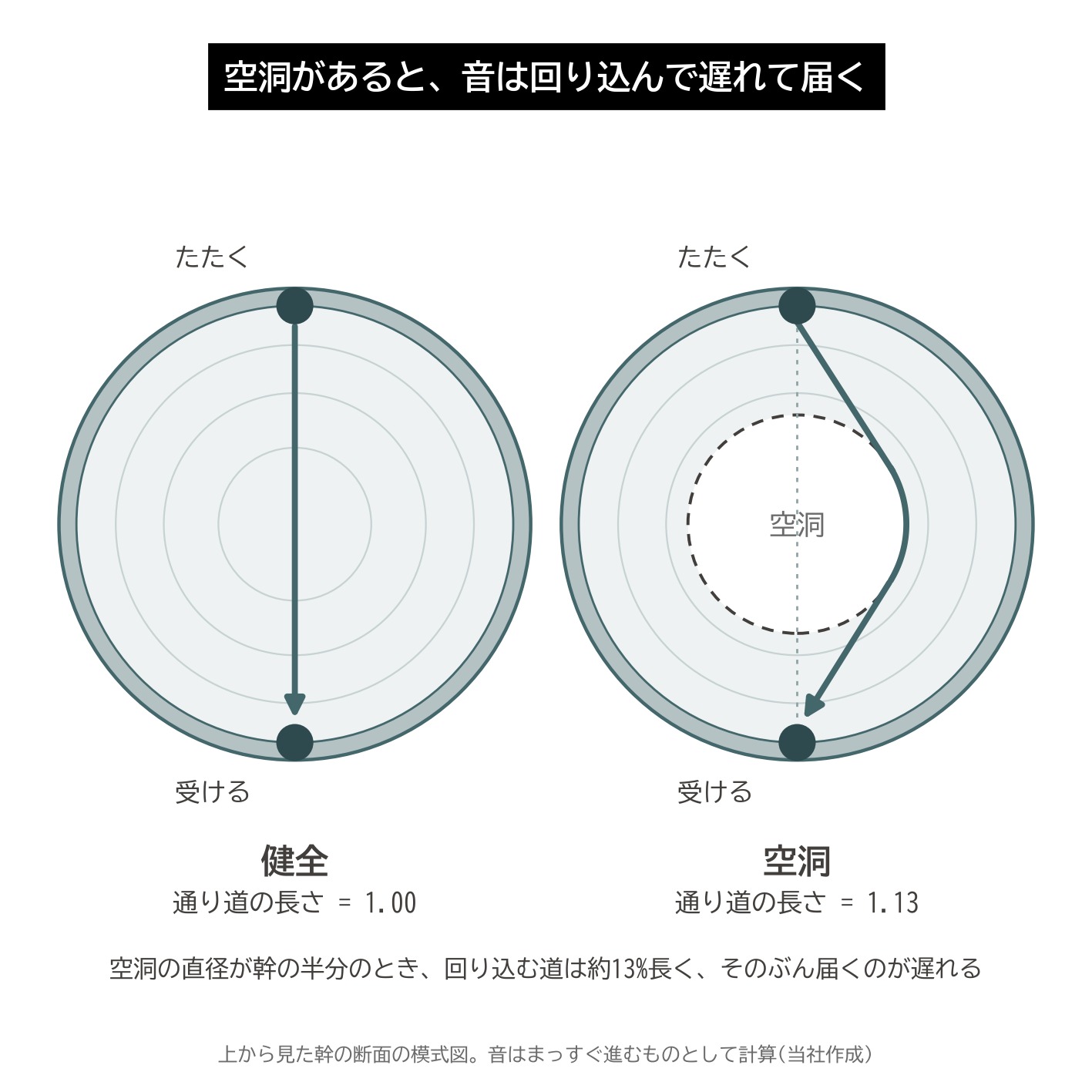 アーボソニック3D 音響トモグラフ 原理 音の回り込み 空洞 伝わる時間 遅れ 模式図