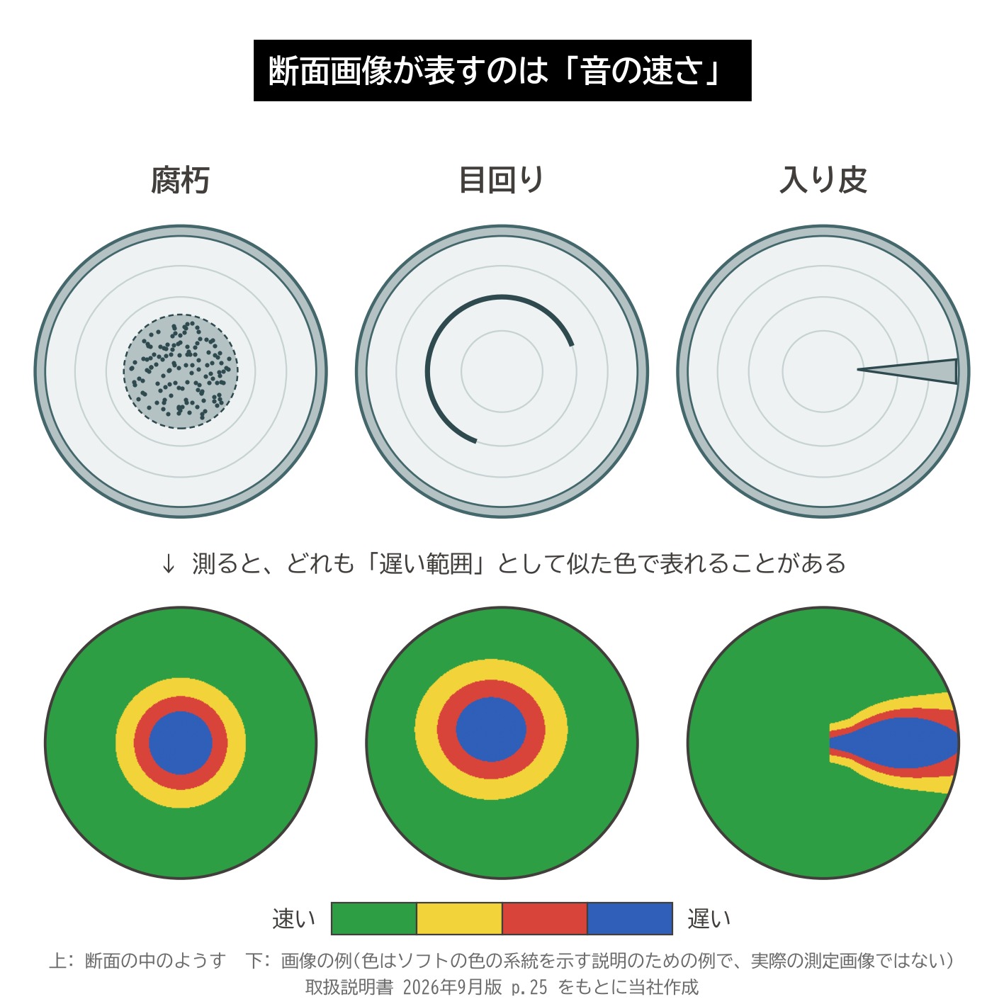 アーボソニック3D トモグラム 音の速さの地図 腐朽 目回り 入り皮 速さが下がる 模式図