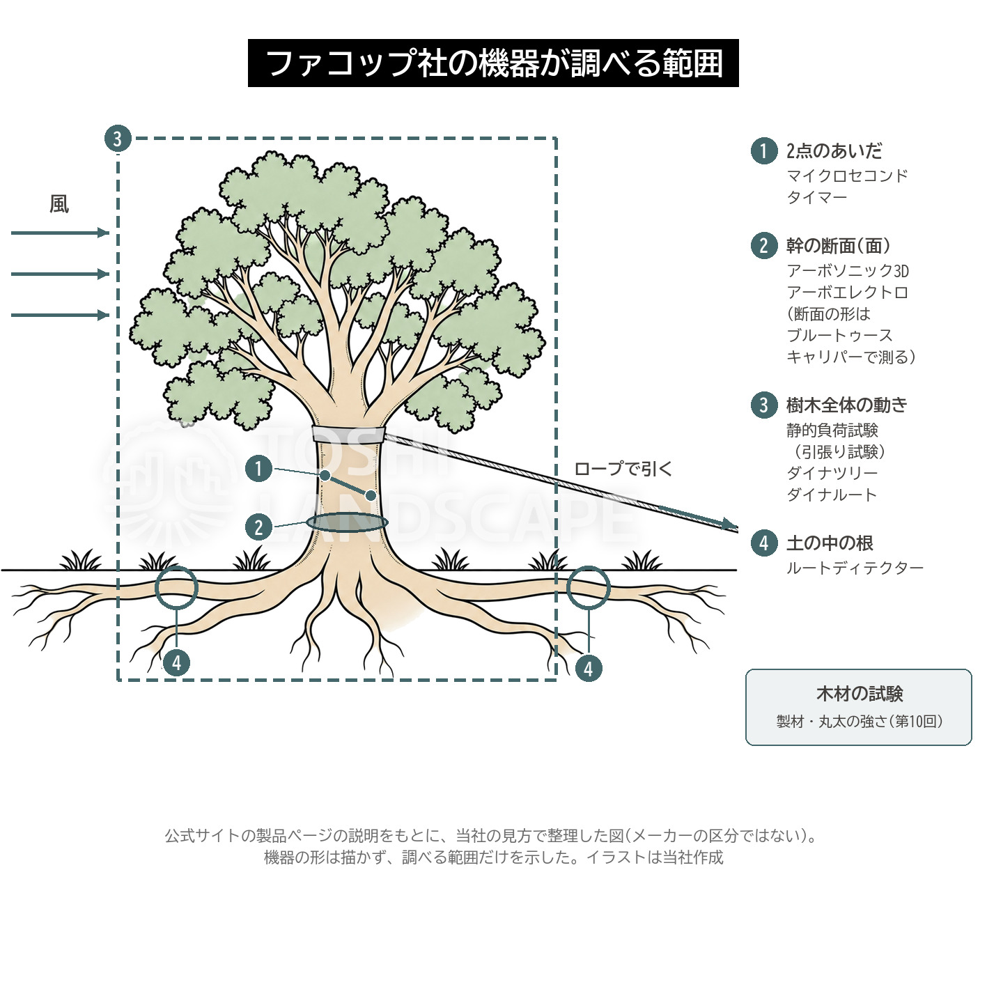 樹木診断機器 測る範囲 2点 断面 樹木全体 根 マイクロセコンドタイマー アーボソニック3D ダイナルート ルートディテクター 図解