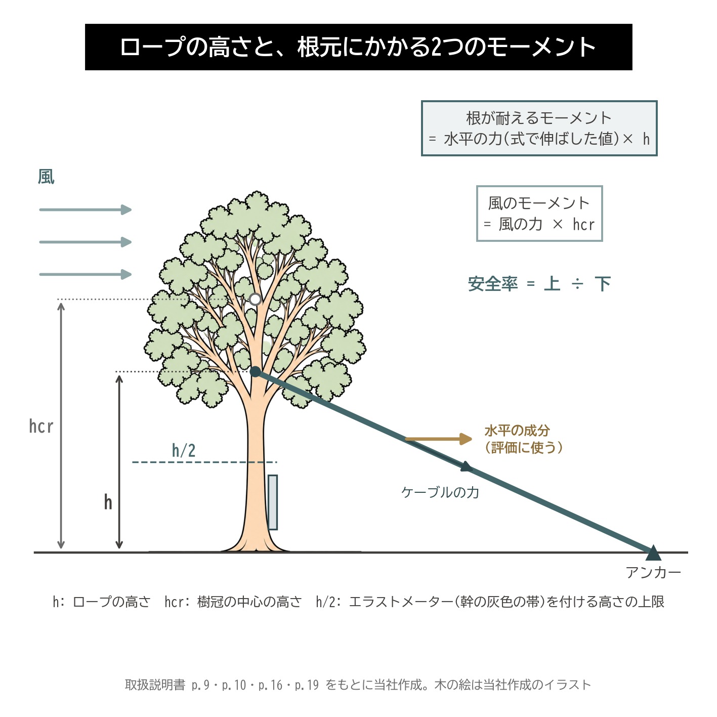 ロープの高さ 樹冠の中心の高さ モーメント 水平の成分 エラストメーター 高さの上限 引張り試験 図解