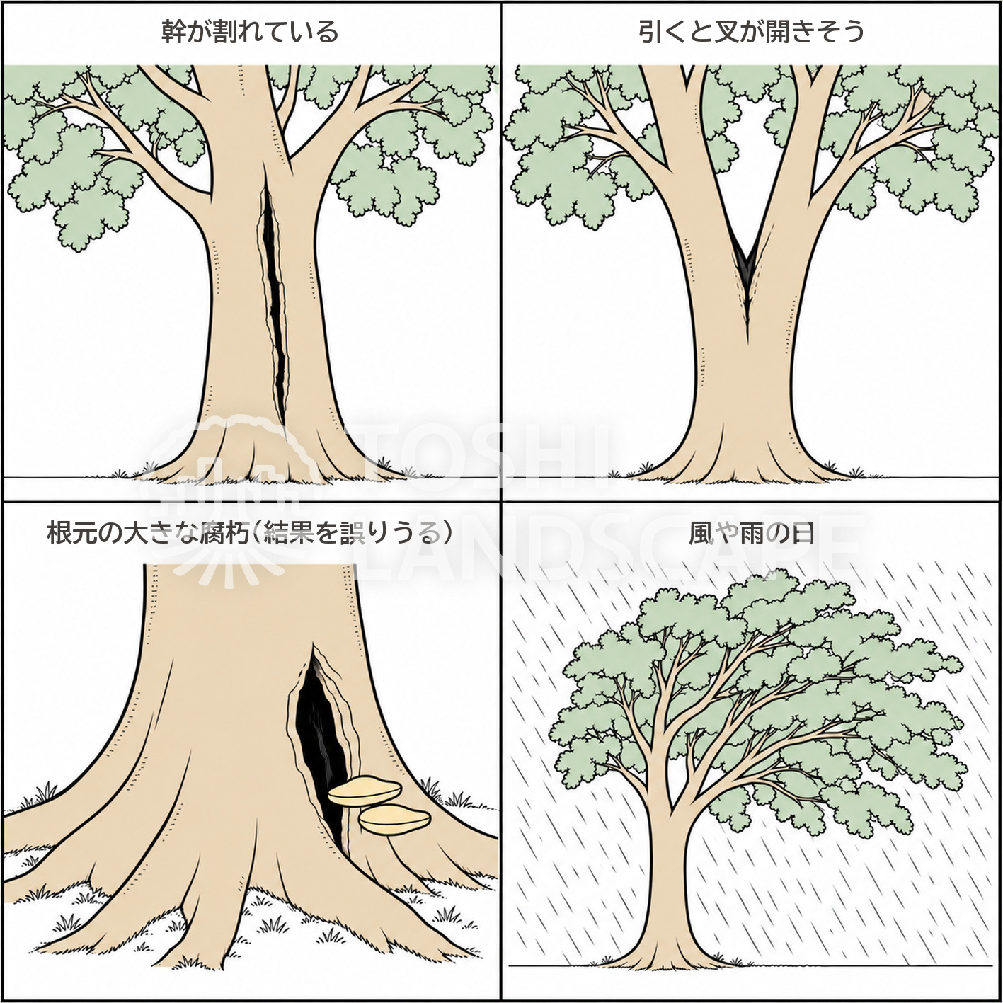 引張り試験 試験を避ける木 幹の割れ 入り皮 叉 根元の腐朽 キノコ 雨 強風 外観診断 図解