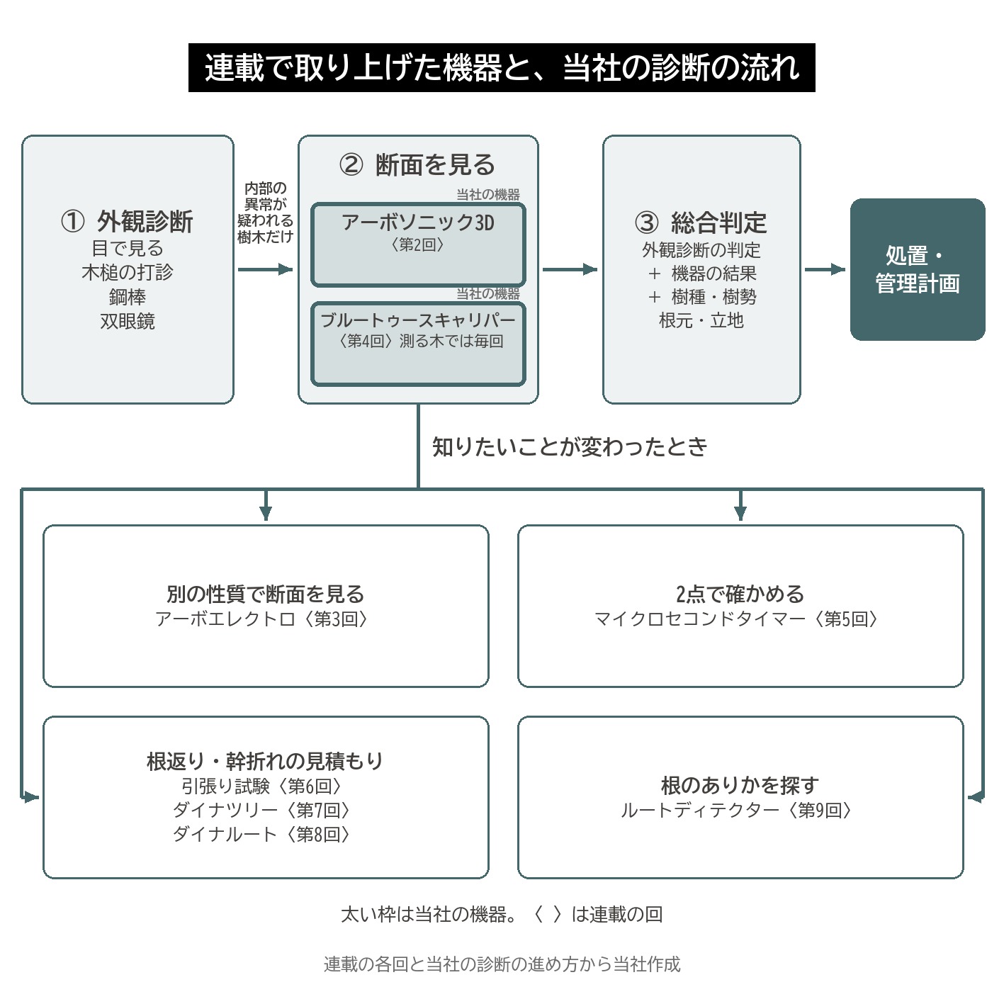 樹木診断 流れ 外観診断 アーボソニック3D ブルートゥースキャリパー 総合判定 ファコップ 連載 振り返り 図解