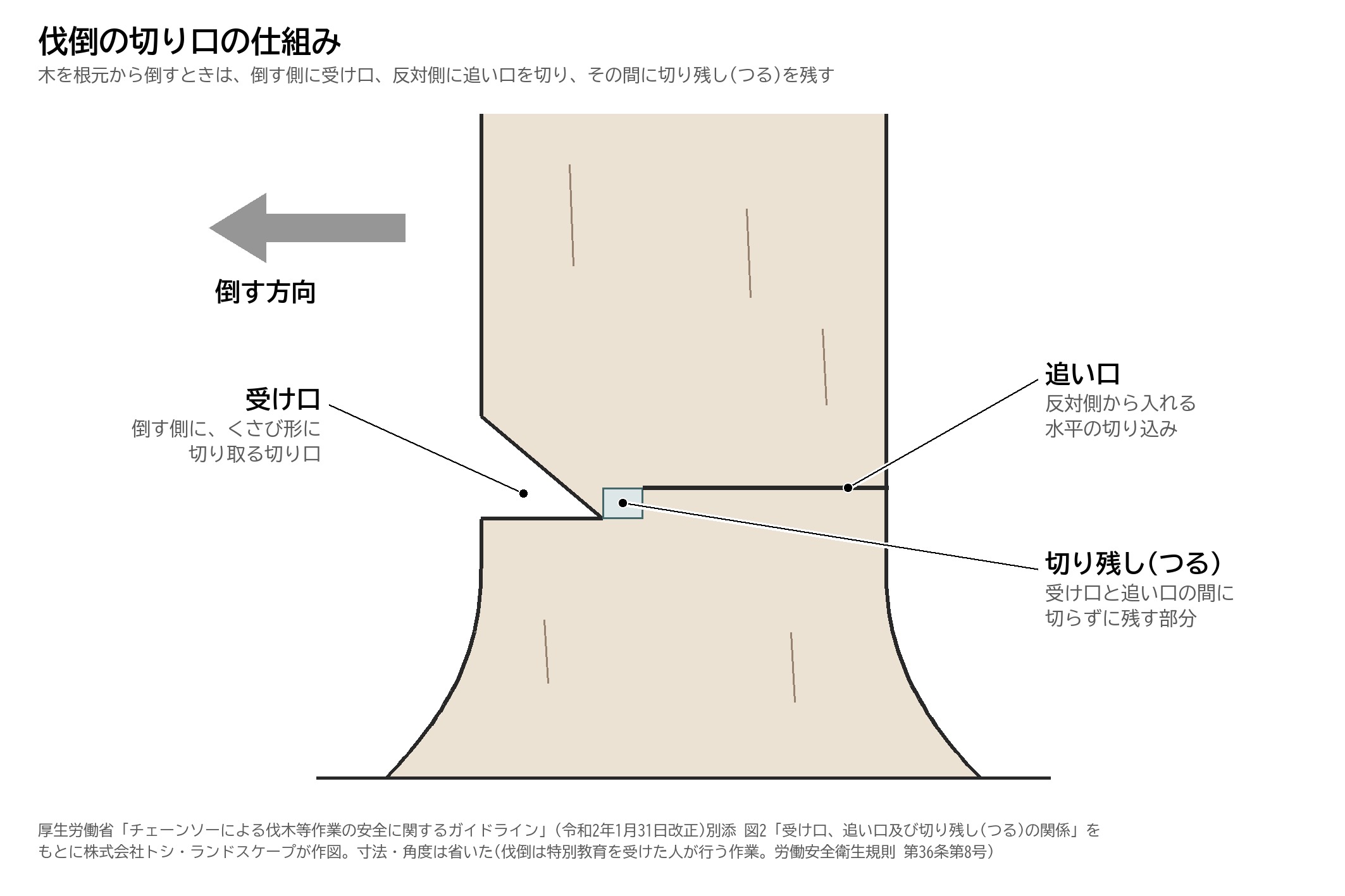 伐倒 受け口 追い口 つる 切り残し 仕組み イラスト