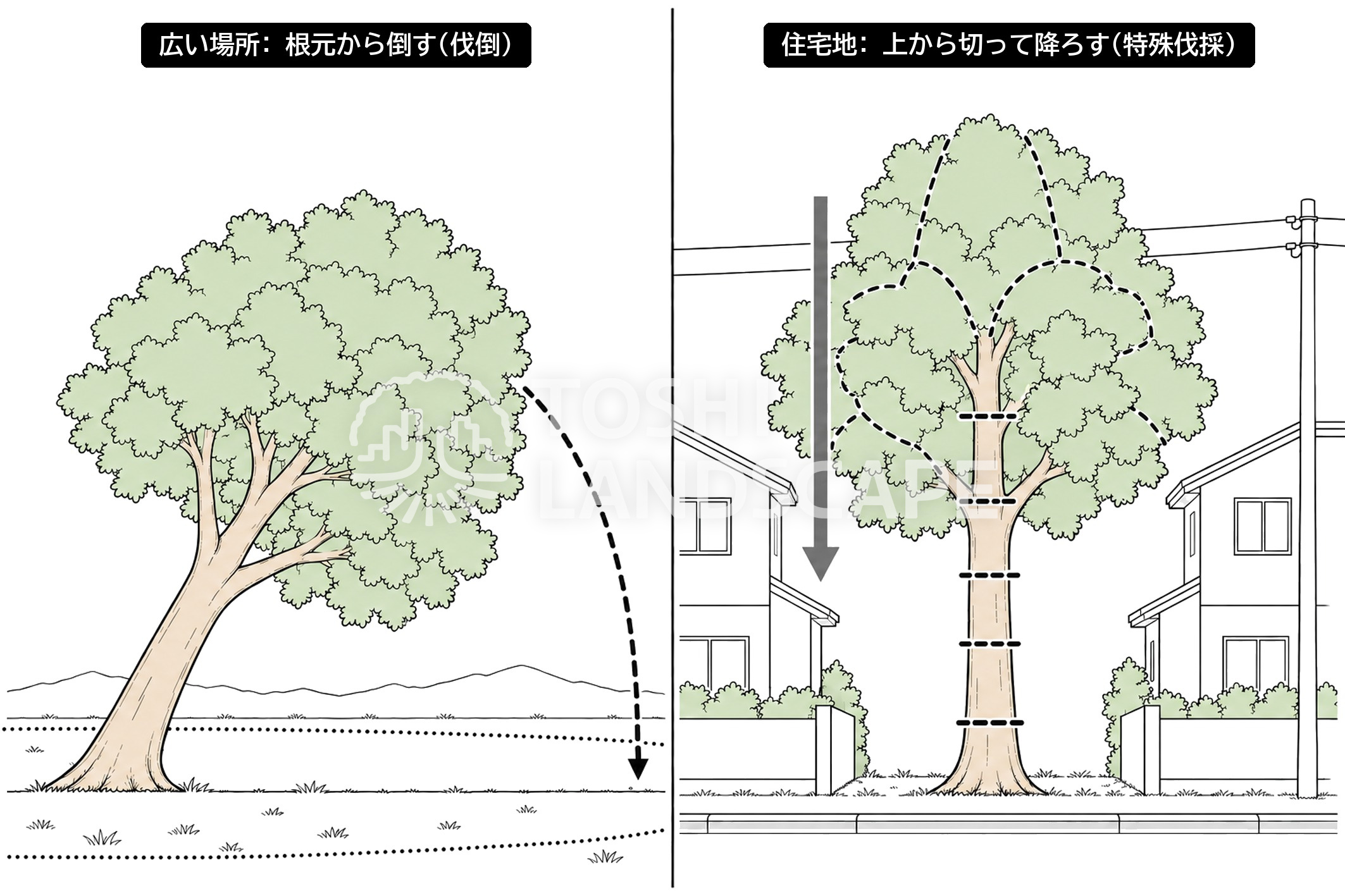 伐倒 特殊伐採 違い 住宅地 伐採 方法 イラスト