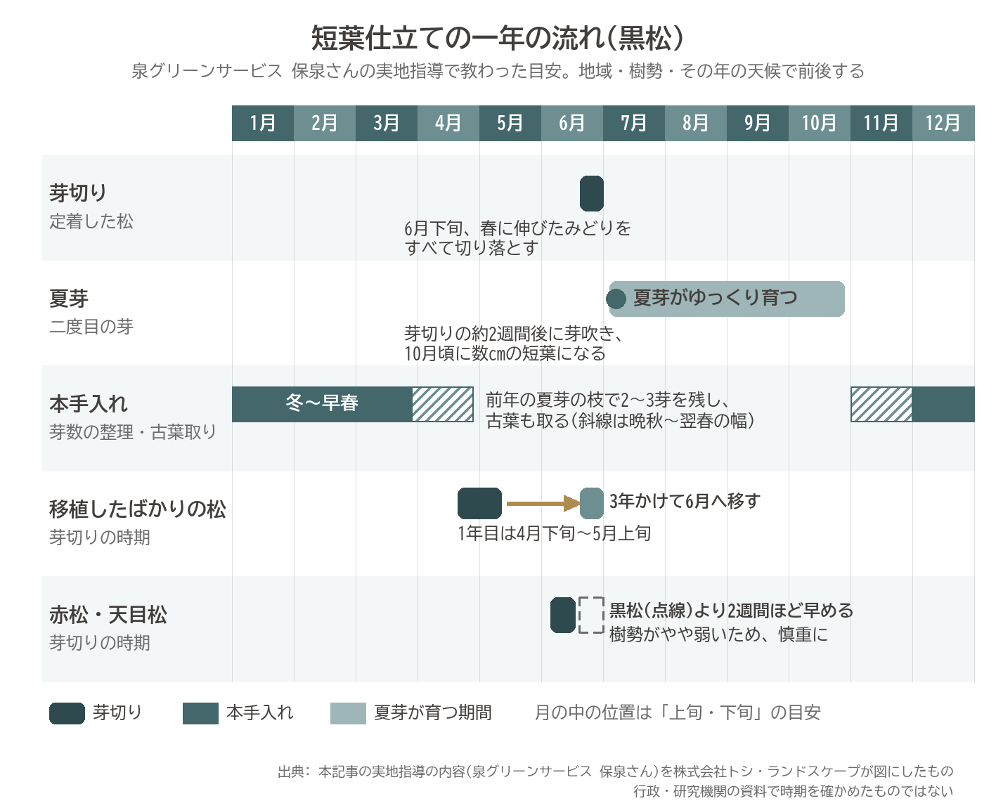 短葉仕立て 黒松 芽切り 夏芽 本手入れ 年間 カレンダー 移植 赤松 時期 図