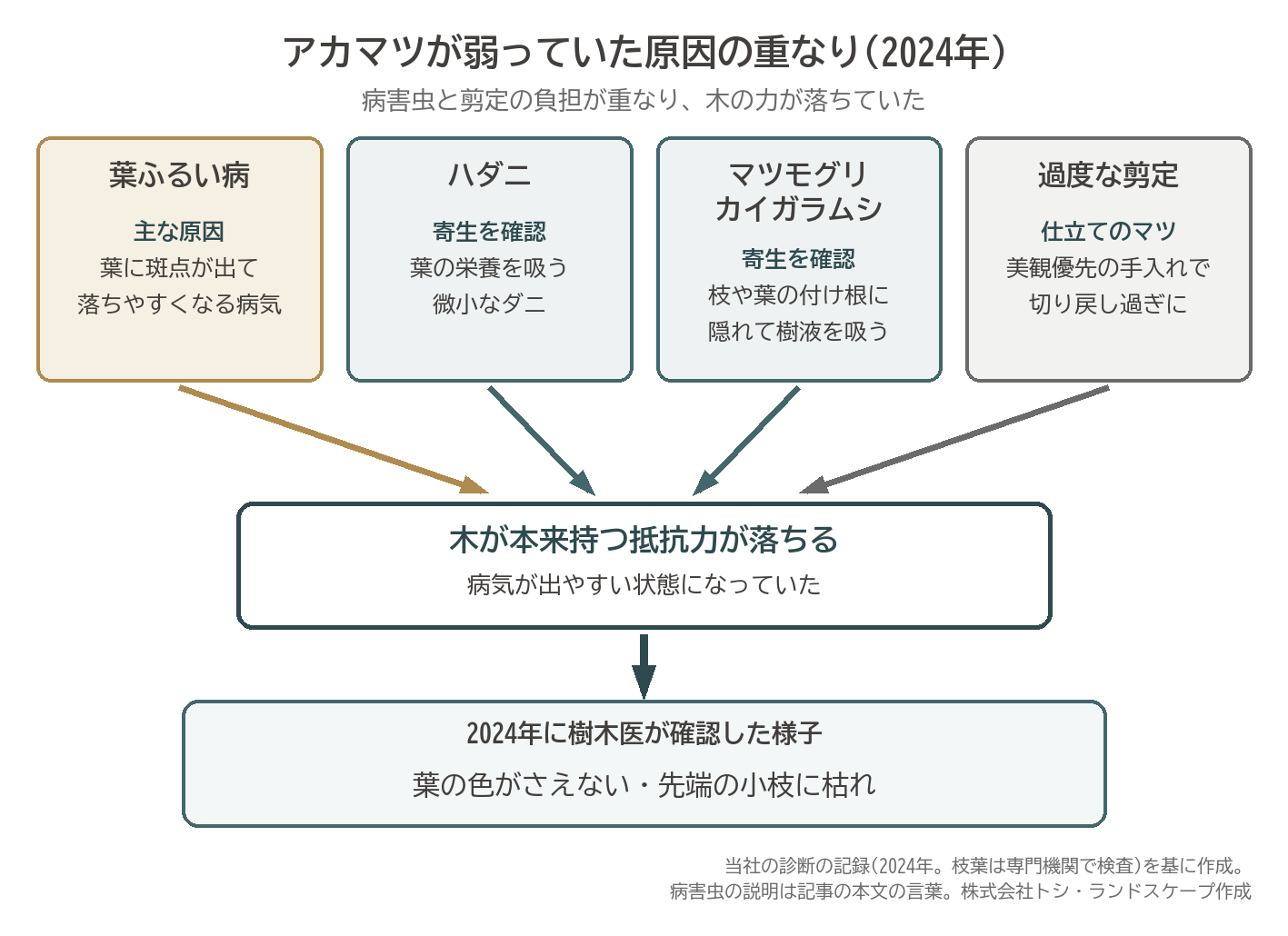 アカマツ 樹勢 衰弱 原因 葉ふるい病 ハダニ マツモグリカイガラムシ 過度な剪定 図