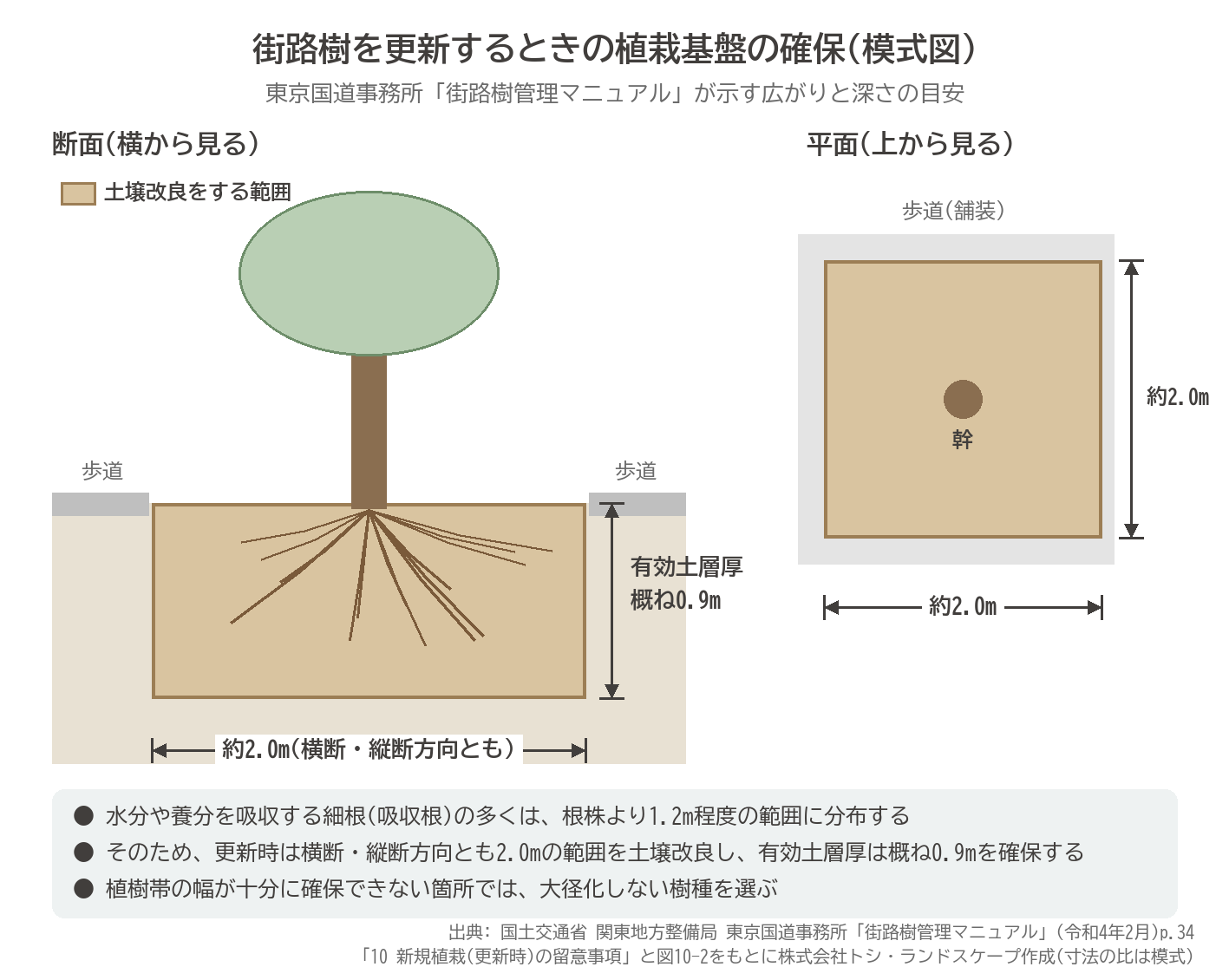街路樹 更新 植栽基盤 有効土層厚 0.9m 土壌改良 2.0m 断面 平面 模式図 東京国道事務所