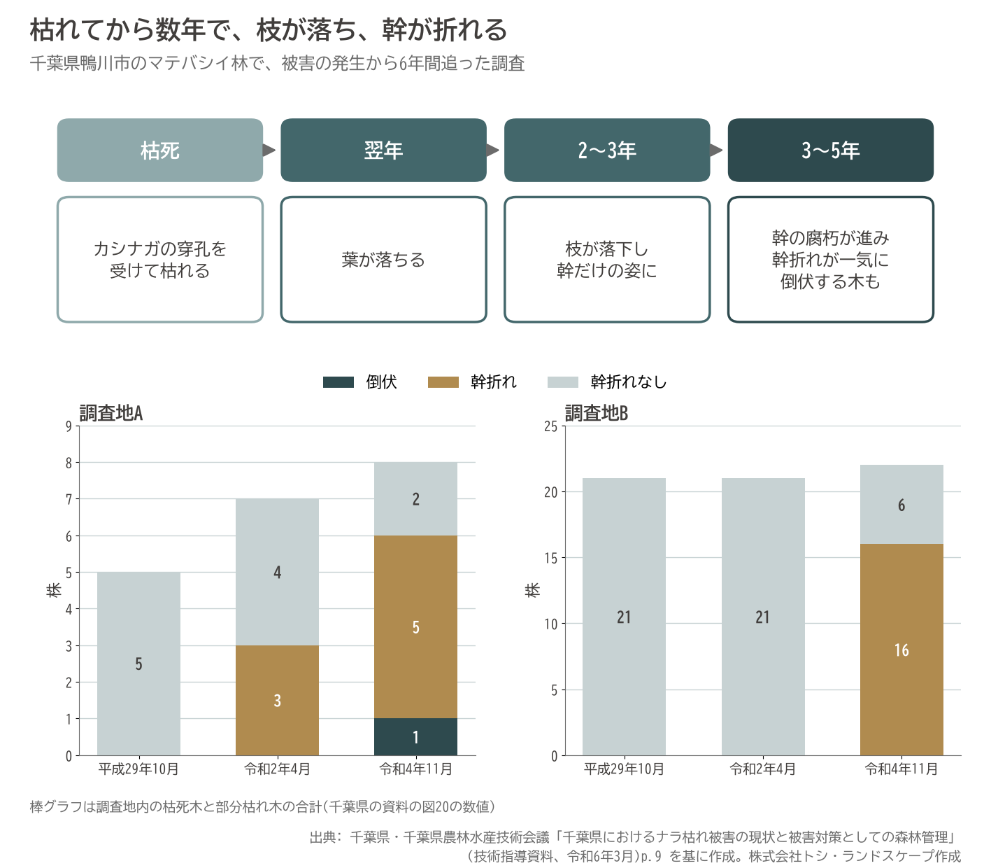 ナラ枯れ 枯死木 経過 幹折れ 倒伏 千葉県 マテバシイ グラフ