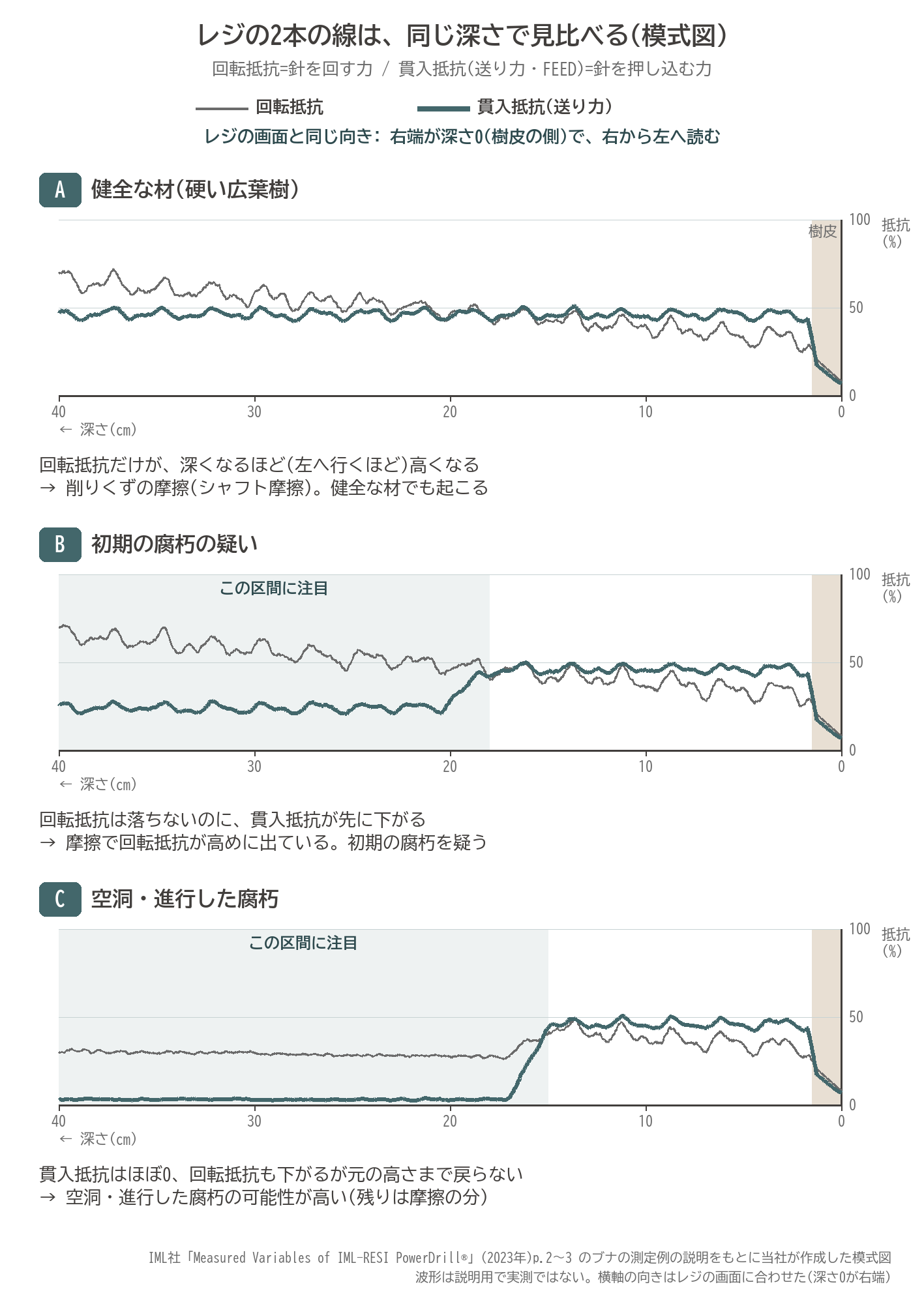 レジ Resi PD 回転抵抗 貫入抵抗 送り力 2本の線 健全 初期の腐朽 空洞 右から左 図解