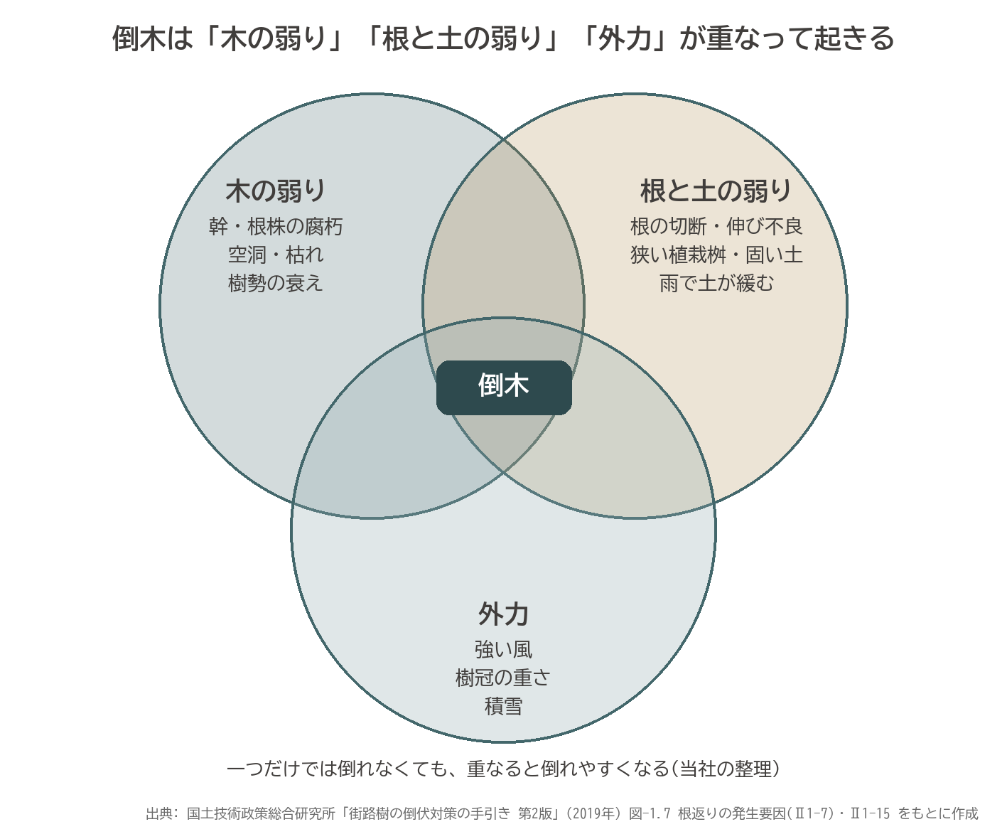倒木 原因 木の弱り 根と土の弱り 外力 重なり 図解