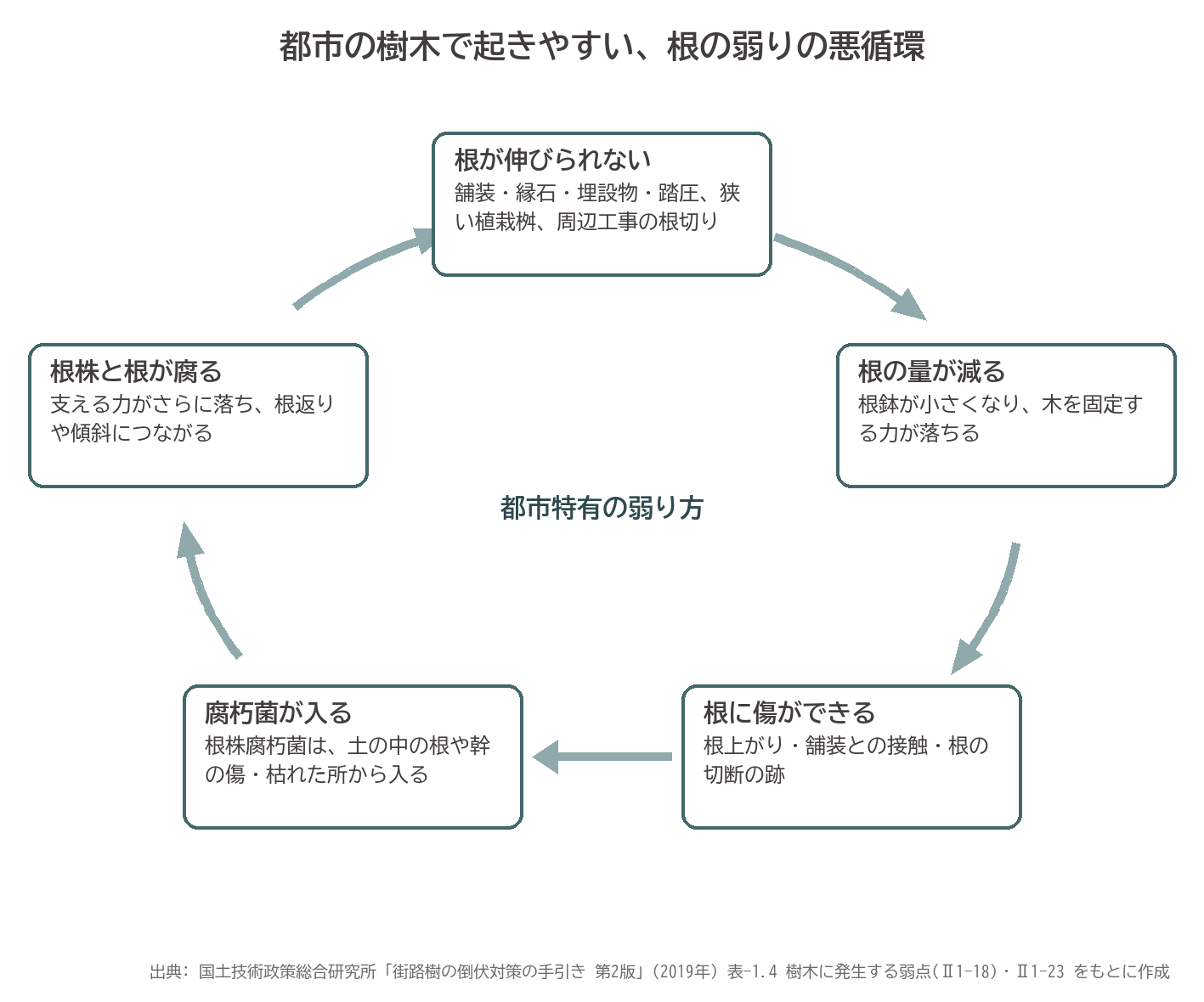 都市 樹木 根 悪循環 舗装 根切り 根上がり 腐朽菌 支持力 図解
