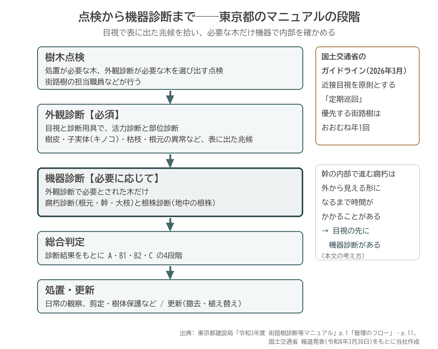 樹木点検 外観診断 機器診断 総合判定 処置 段階 流れ 東京都 街路樹診断等マニュアル 定期巡回 図