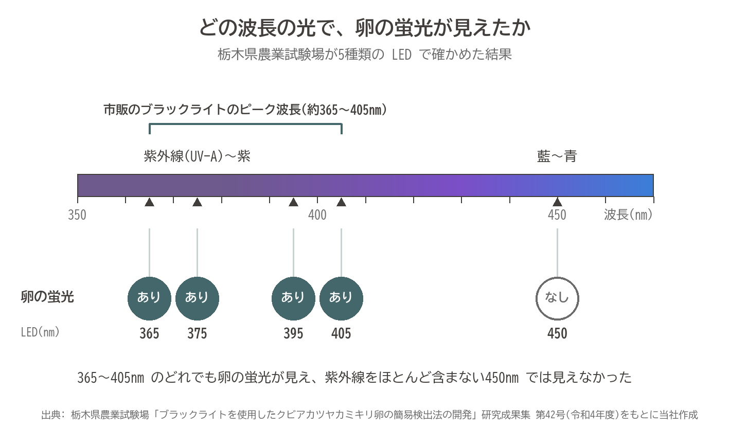 クビアカツヤカミキリ 卵 蛍光 ブラックライト 波長 365nm 375nm 395nm 405nm 450nm LED 図