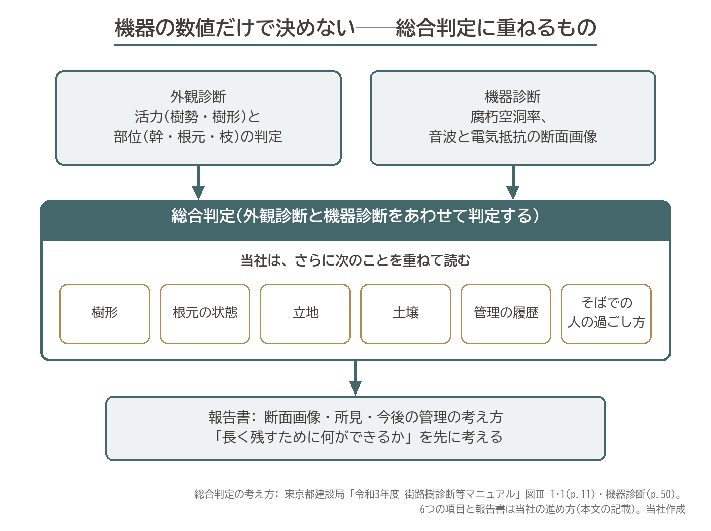 総合判定 外観診断 機器診断 腐朽空洞率 樹形 根元 立地 土壌 管理履歴 報告書 図解