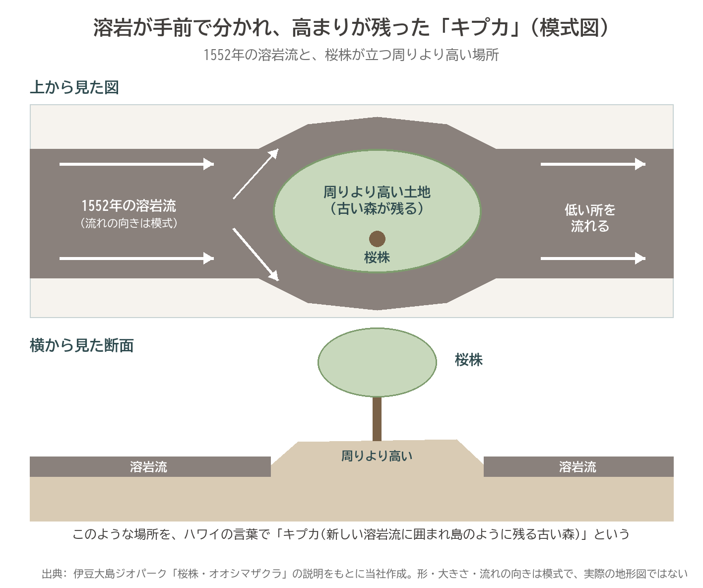 キプカ 溶岩流 1552年 伊豆大島 桜株 高まり 模式図 断面