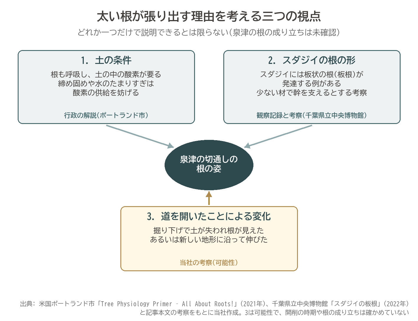 スダジイ 根 露出 理由 土の条件 酸素 板根 切通し 開削 三つの視点 図解