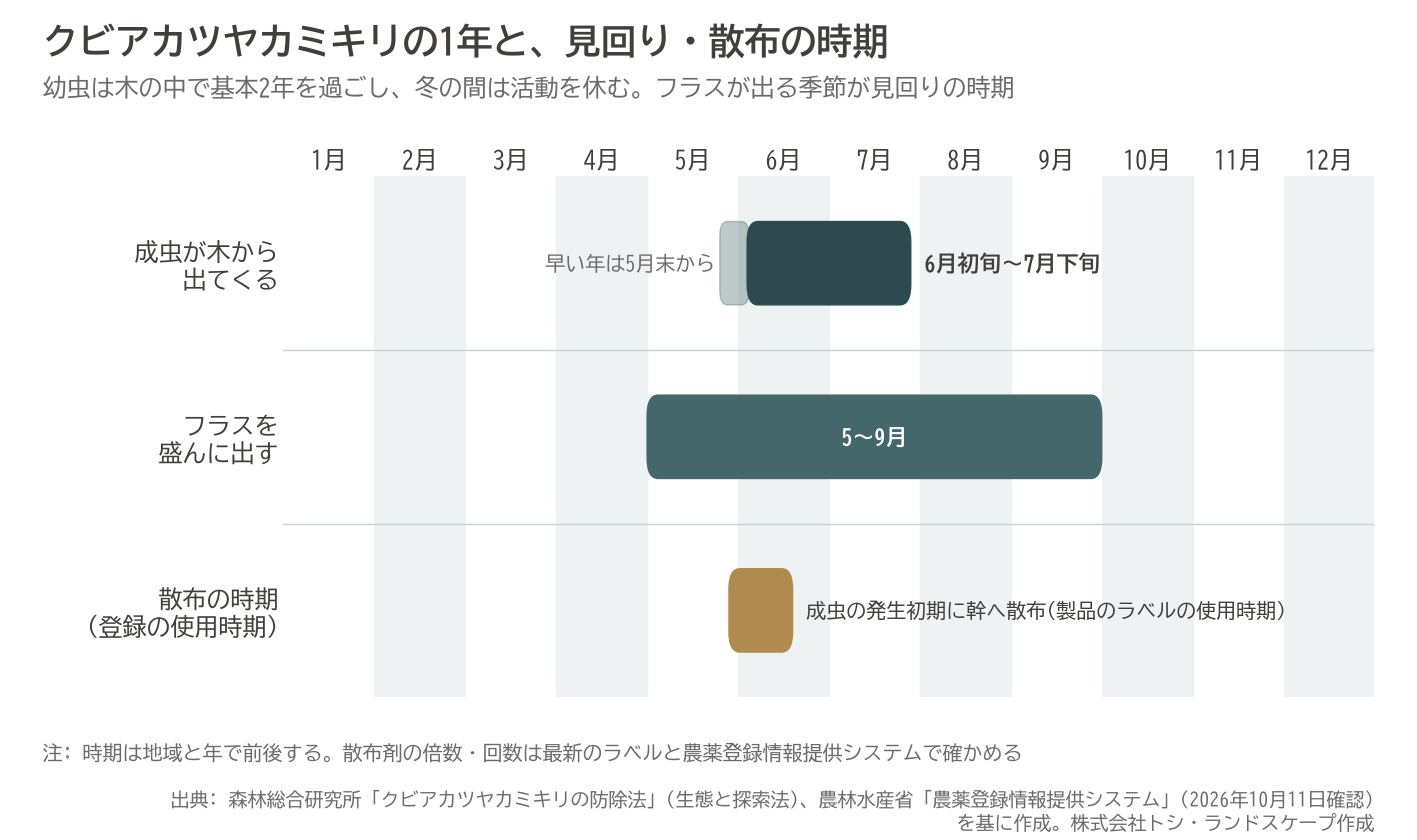 クビアカツヤカミキリ 1年 成虫 脱出 フラス 散布 時期 図