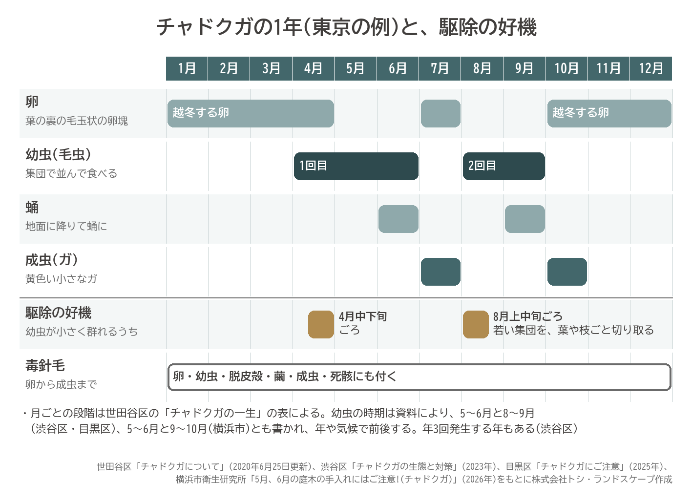 チャドクガの年間カレンダー 卵で越冬 幼虫は4月から6月と8月から9月の2回 蛹は6月と9月 成虫は7月と10月 駆除の好機は4月中下旬と8月上中旬 毒針毛は卵から成虫まで